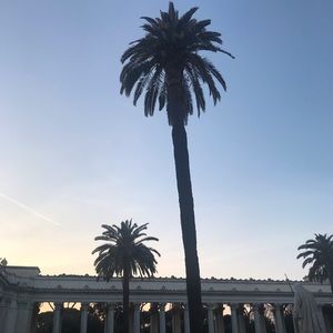 Meet your Posher, Sasha